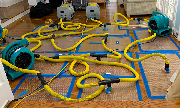 Professional Basement Flood Cleanup technician working in Santa Paula, CA